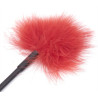Correct Me Plumeau-Martinet Tickler Rouge